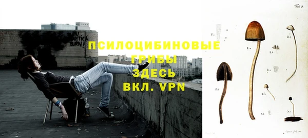 твердый Армянск