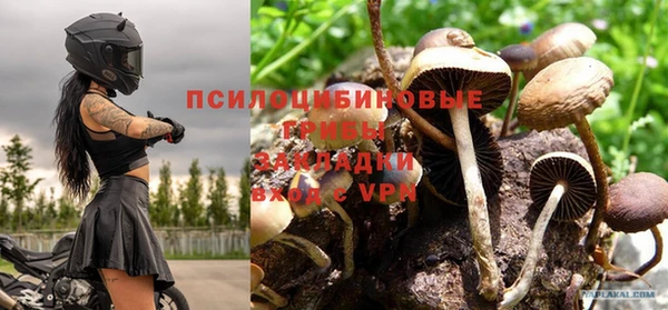 твердый Армянск
