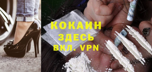 мдпв Лагань
